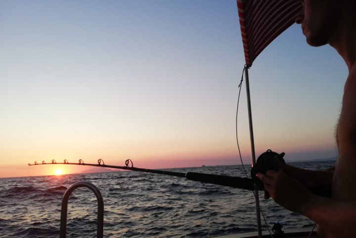 SEA ACTIVITIES